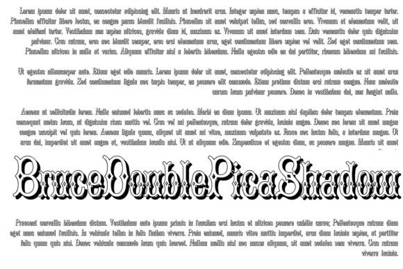 Bruce Double Pica: A Typeface That Commands Attention