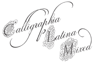 Calligraphia Latina Mixed: A Font Family with Personality
